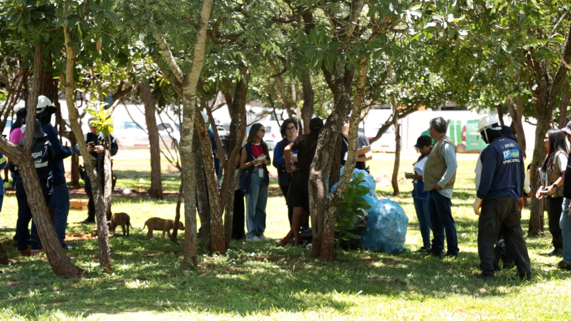 Durante as ações, equipes do GDF oferecem diversos serviços públicos à população em situação de rua | Foto: Agência Brasília