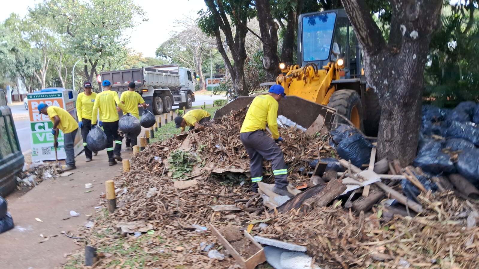 Podas, recolhimento de entulho e varrição contemplaram diferentes pontos do Plano Piloto nesta semana | Fotos: Administração Regional do Plano Piloto