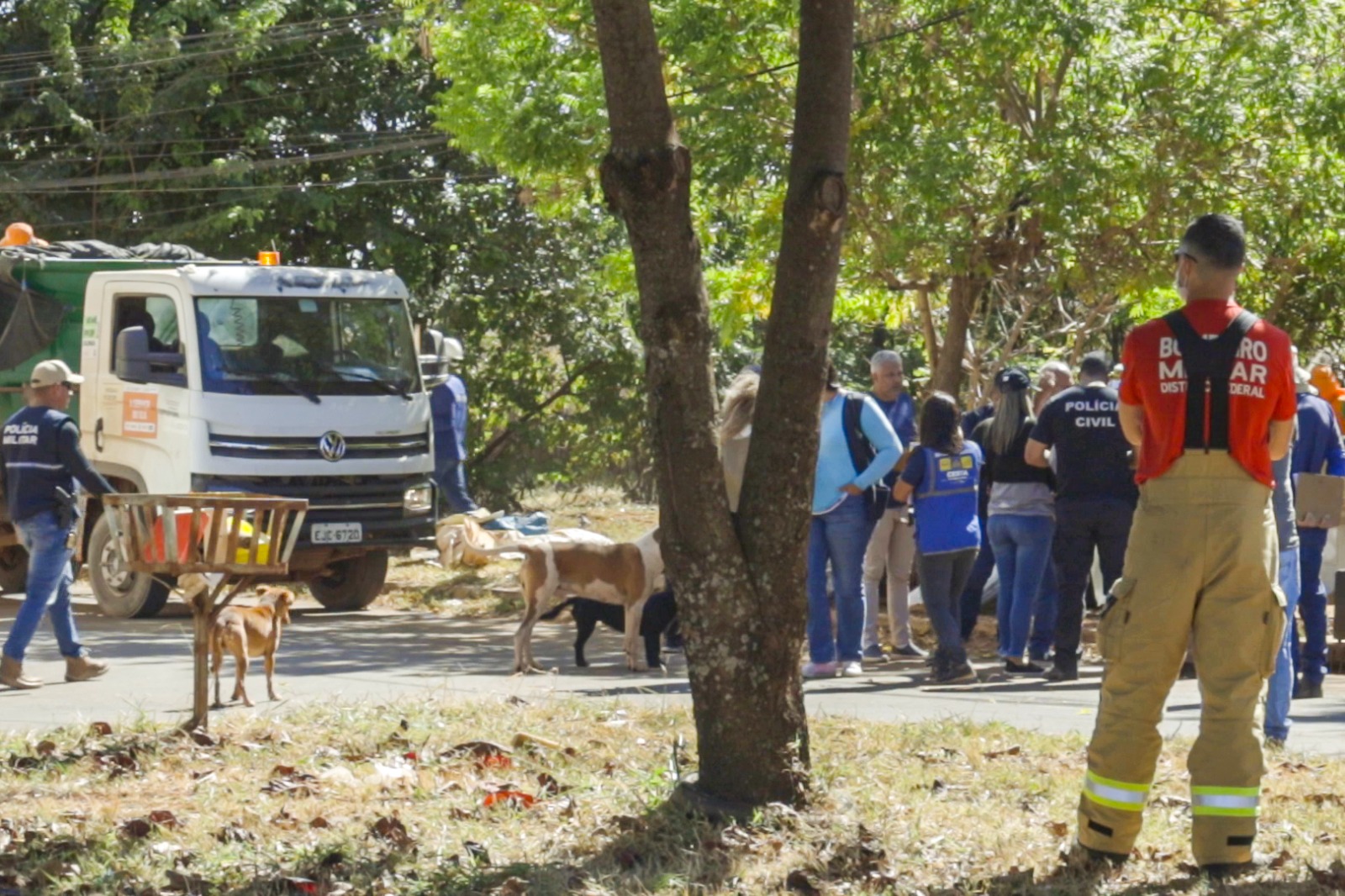 O Distrito Federal foi a primeira unidade da Federação a apresentar um plano de política pública após a suspensão das ações de abordagem à população de rua pelo Supremo Tribunal Federal no último ano | Foto: Agência Brasília