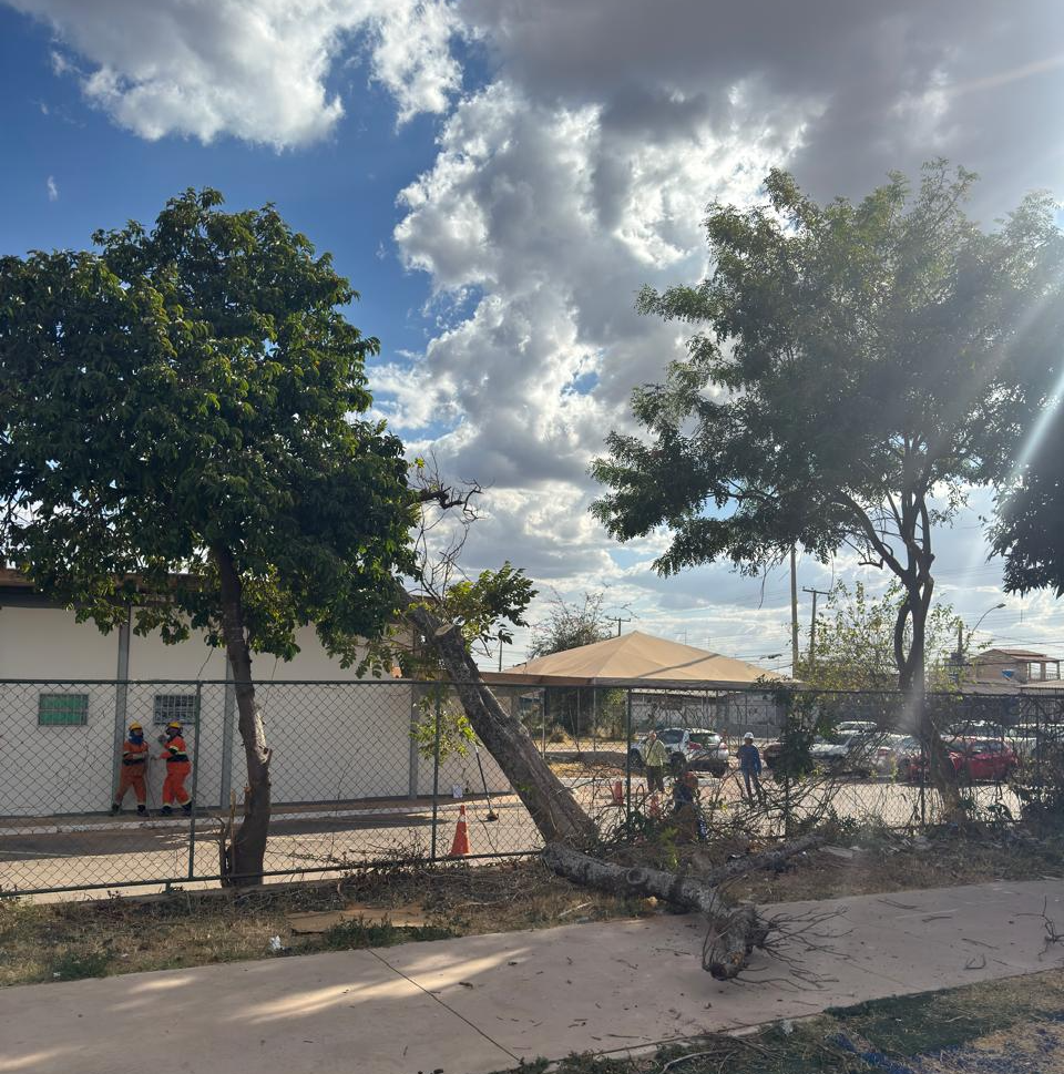 Unidades básicas de saúde também receberam a ação | Foto: Divulgação/Administração Regional de Ceilândia